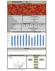 Icon of Chile Chocolate De Primera Mayorista