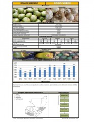 Icon of Coco Verde De Primera Mayorista