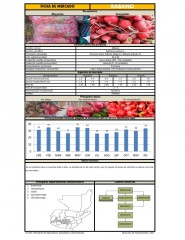 Icon of Rábano De Primera Mayorista