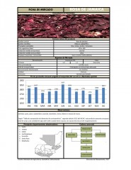 Icon of Rosa De Jamaica De Primera Mayorista