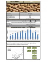 Icon of Soya De Primera Mayorista