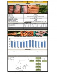 Icon of Zanahoria De Primera Mayorista