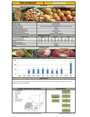 Icon of Durazno Blanco De Primera Mayorista