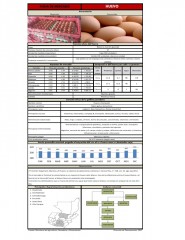 Icon of Huevo Marrón Grande De Primera Mayorista