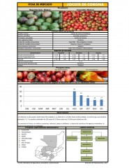 Icon of Jocote De Corona Mediano De Primera Mayorista