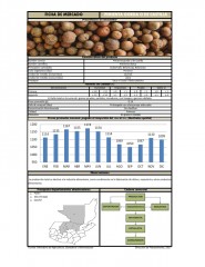 Icon of Pimienta Gorda De Primera Mayorista