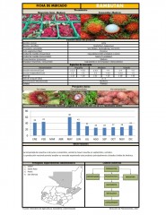 Icon of Rambután De Primera Mayorista