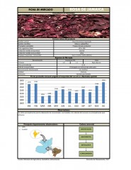 Icon of Rosa De Jamaica Importada De Primera Mayorista