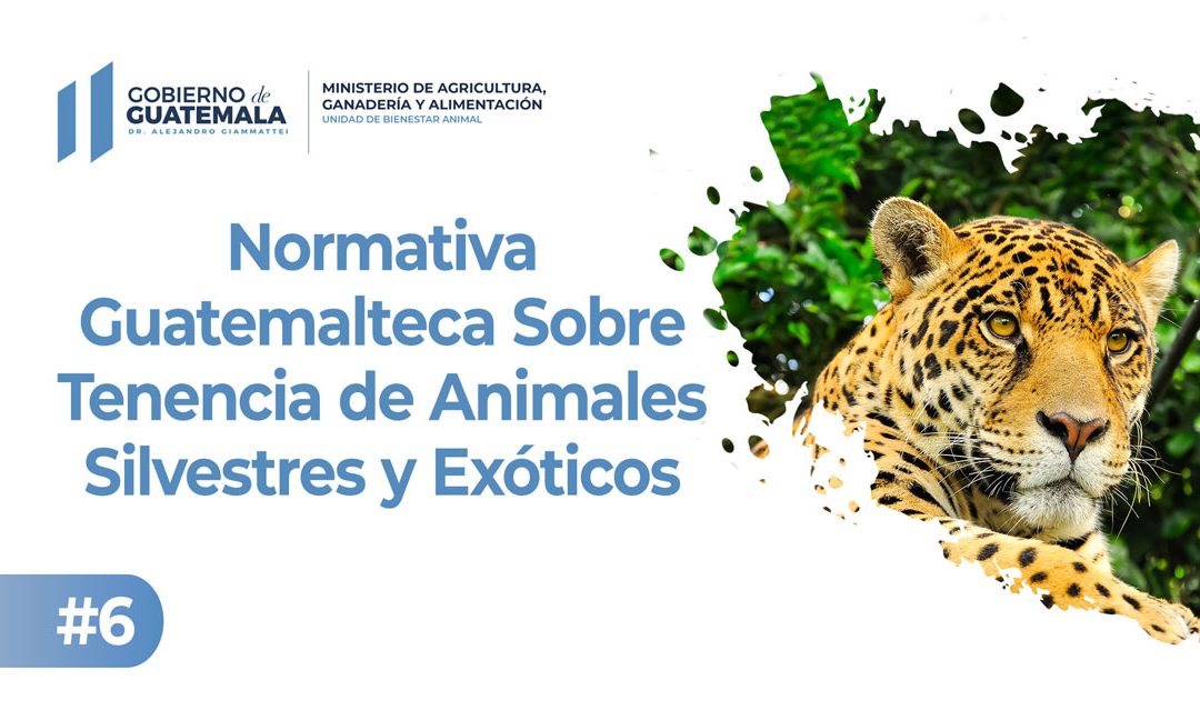 Normativa Guatemalteca Sobre Tenencia de Animales Silvestres y Exóticos
