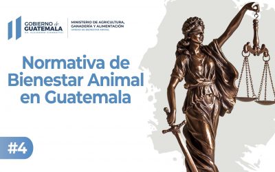 Normativa de Bienestar Animal en Guatemala