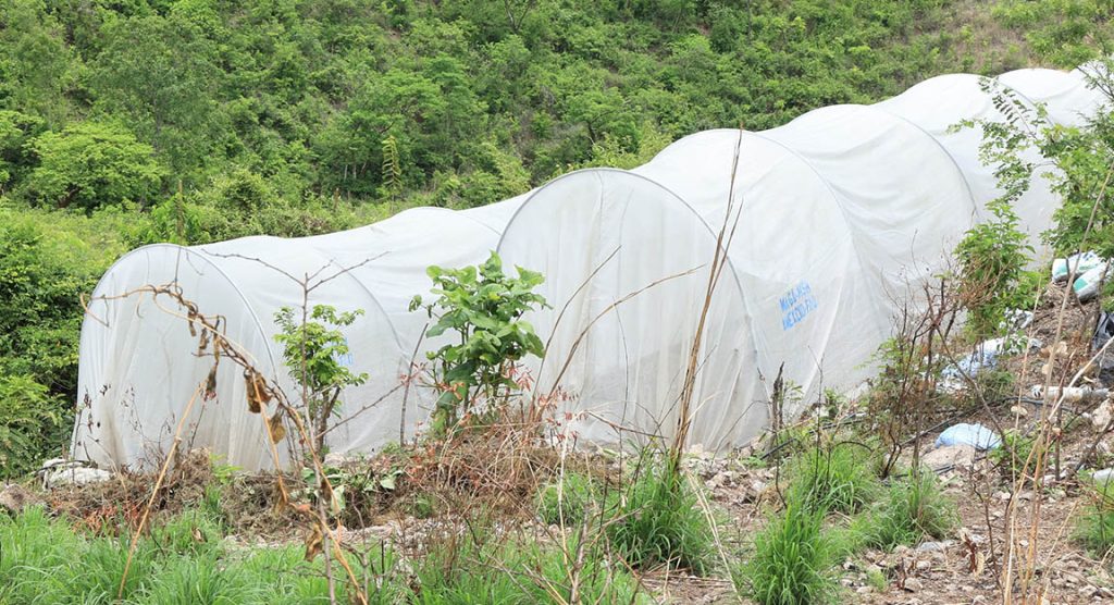 Conozca quĂ© son los MicrotĂșneles - Ministerio de Agricultura GanaderĂa ...